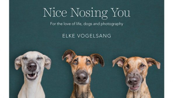 Nice Nosing You: For the Love of Life, Dogs and Photography