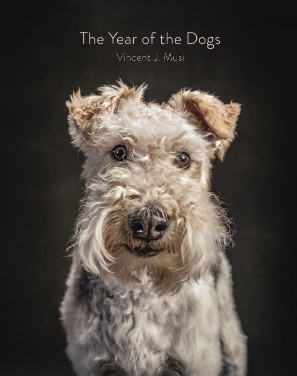 The Year Of The Dogs book by Vincent Musi