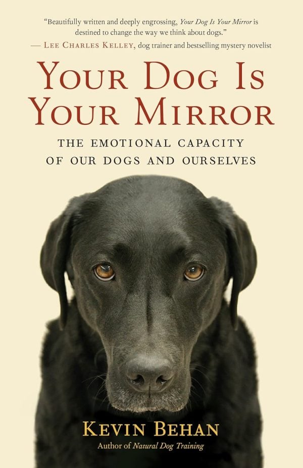 Your Dog Is Your Mirror: The Emotional Capacity of Our Dogs and Ourselves